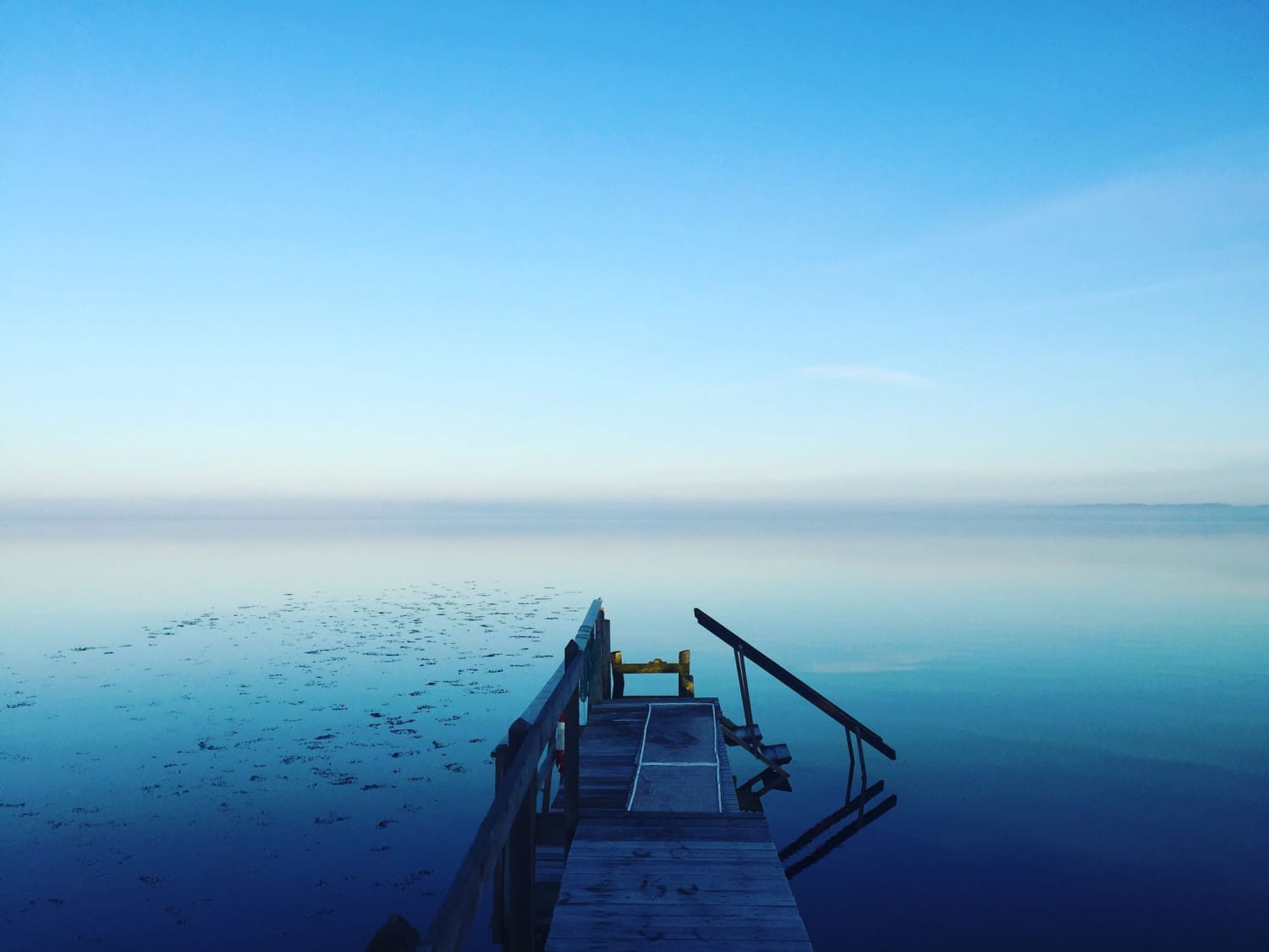 Exploring the Secret World of Uniquely Colored Lakes