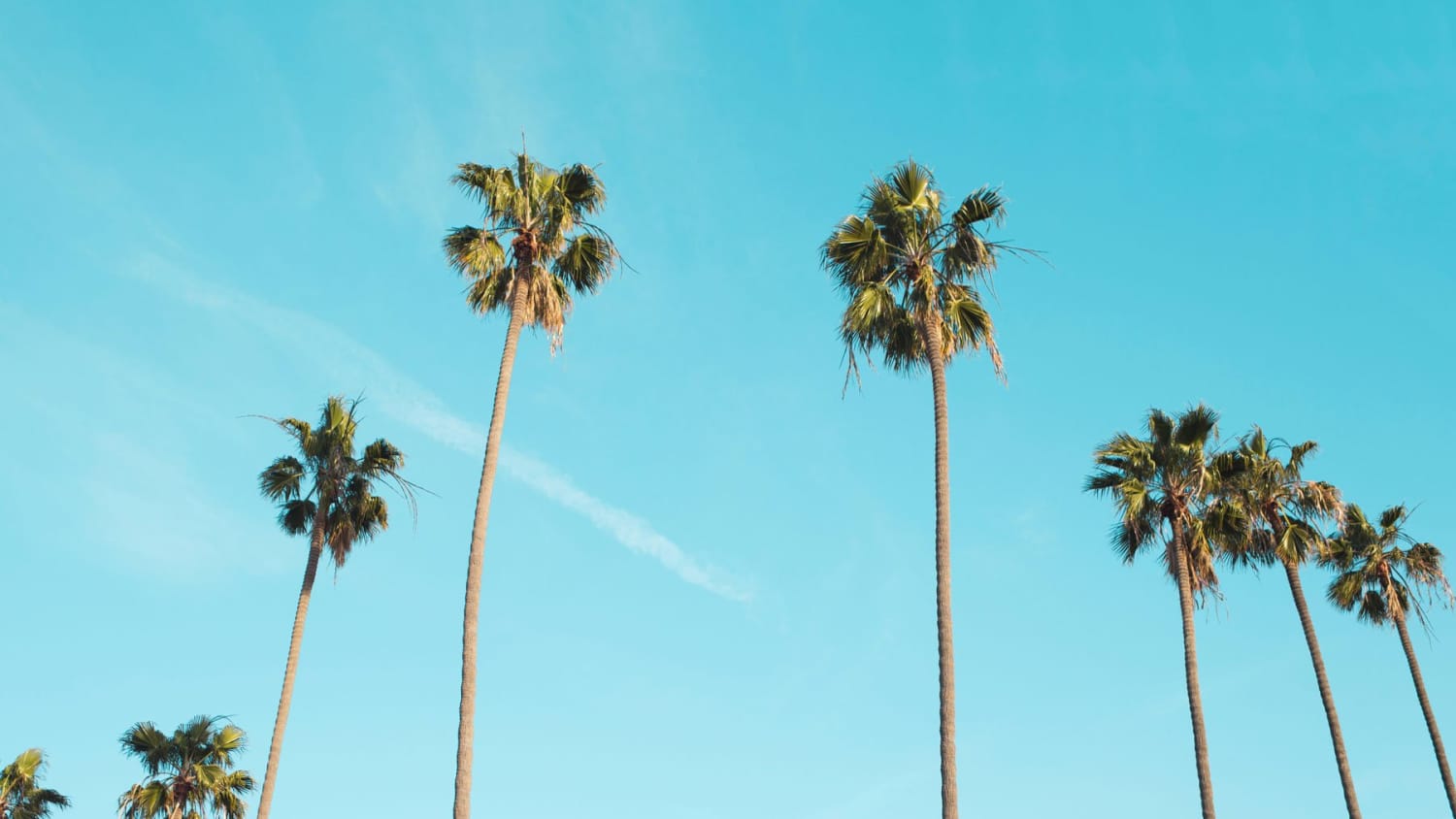 Four Fabulous Resorts in Sunny California