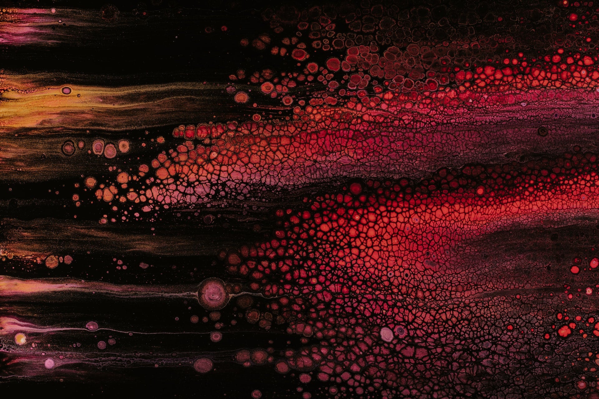 How To Remove Stains From Clothing