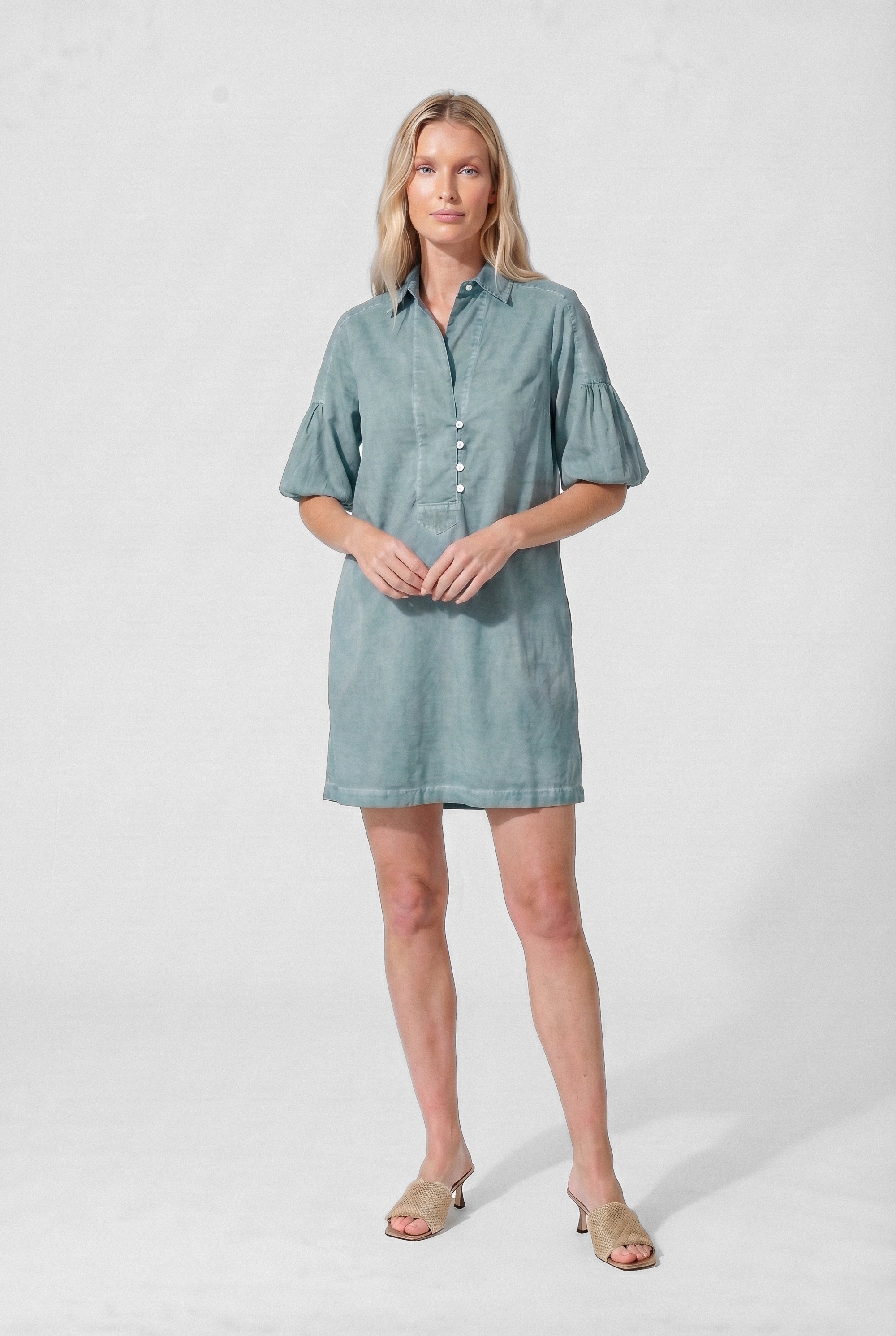 Day Off Shirtdress in Poplin - Shark