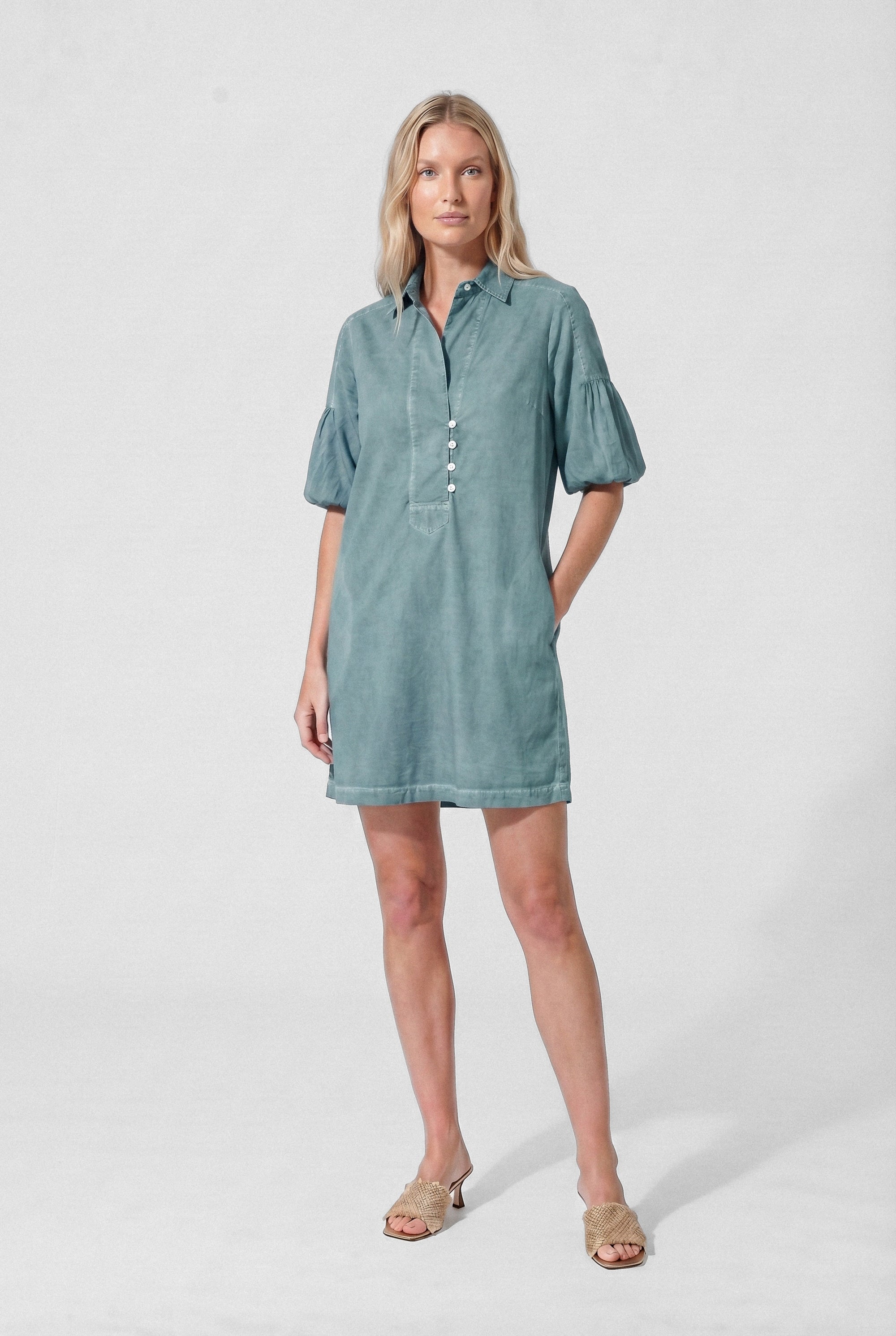 Day Off Shirtdress in Poplin - Shark