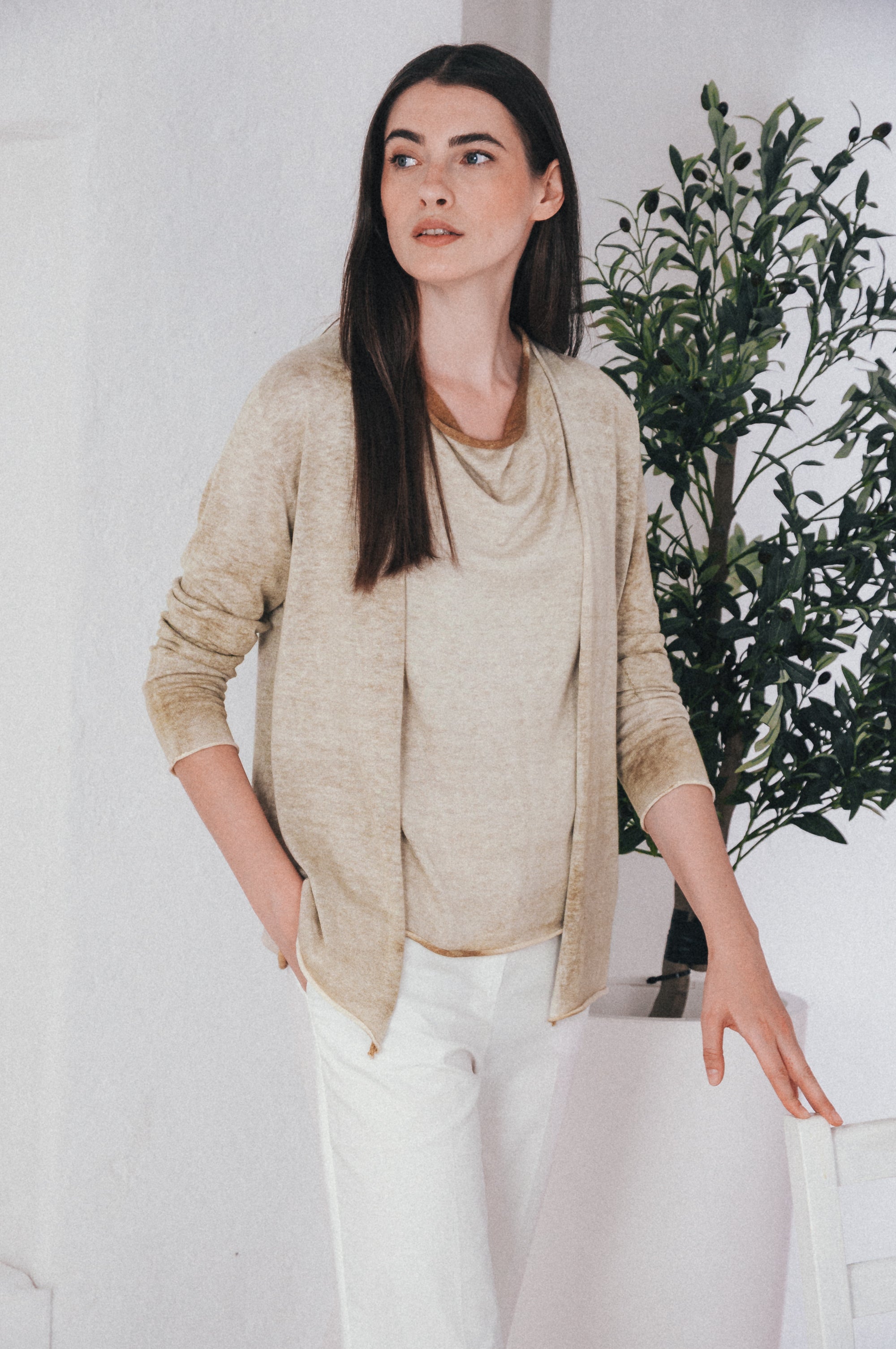 Mallorca Cardi Frost Art - Golden