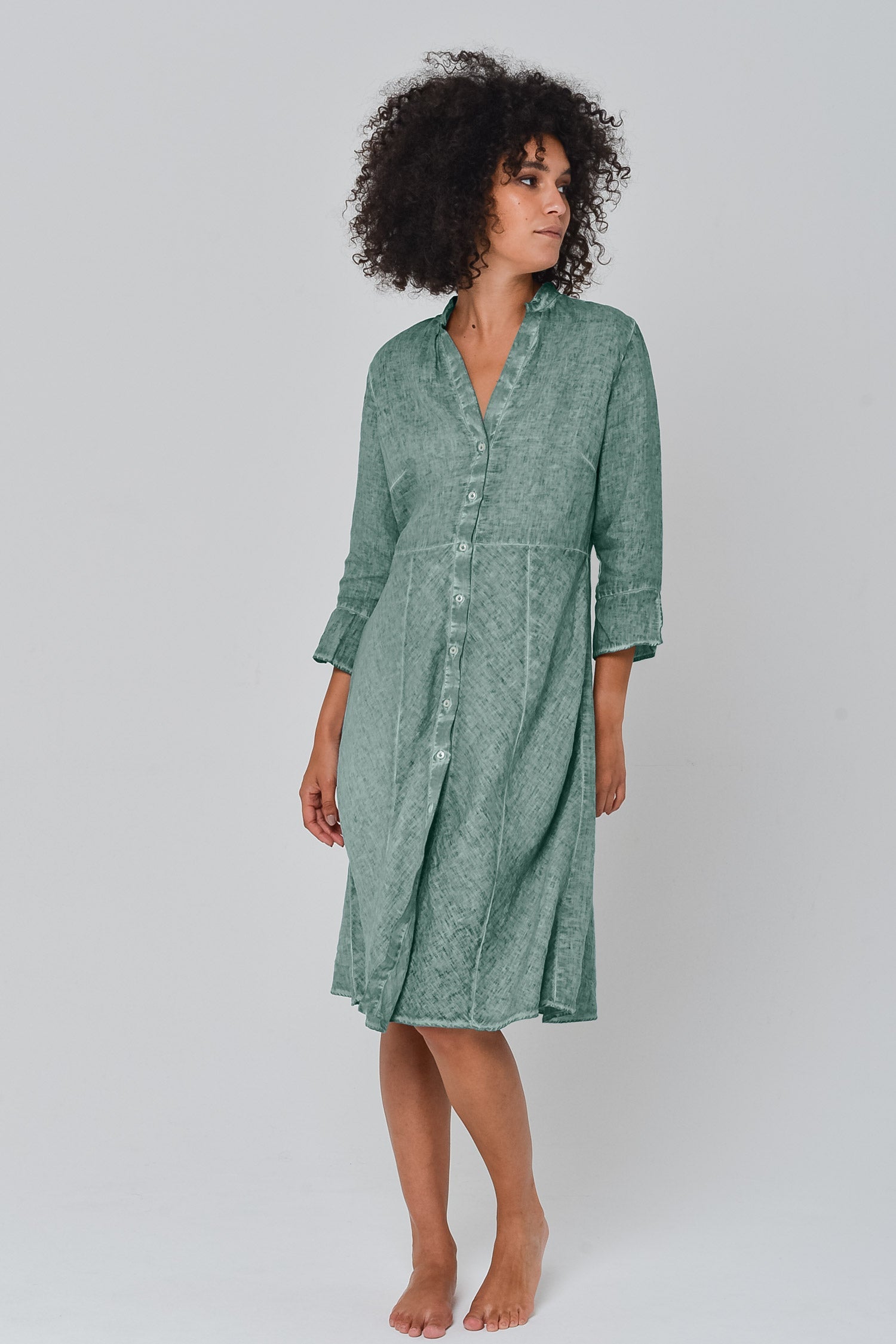 Fitted Shirtdress in Shark