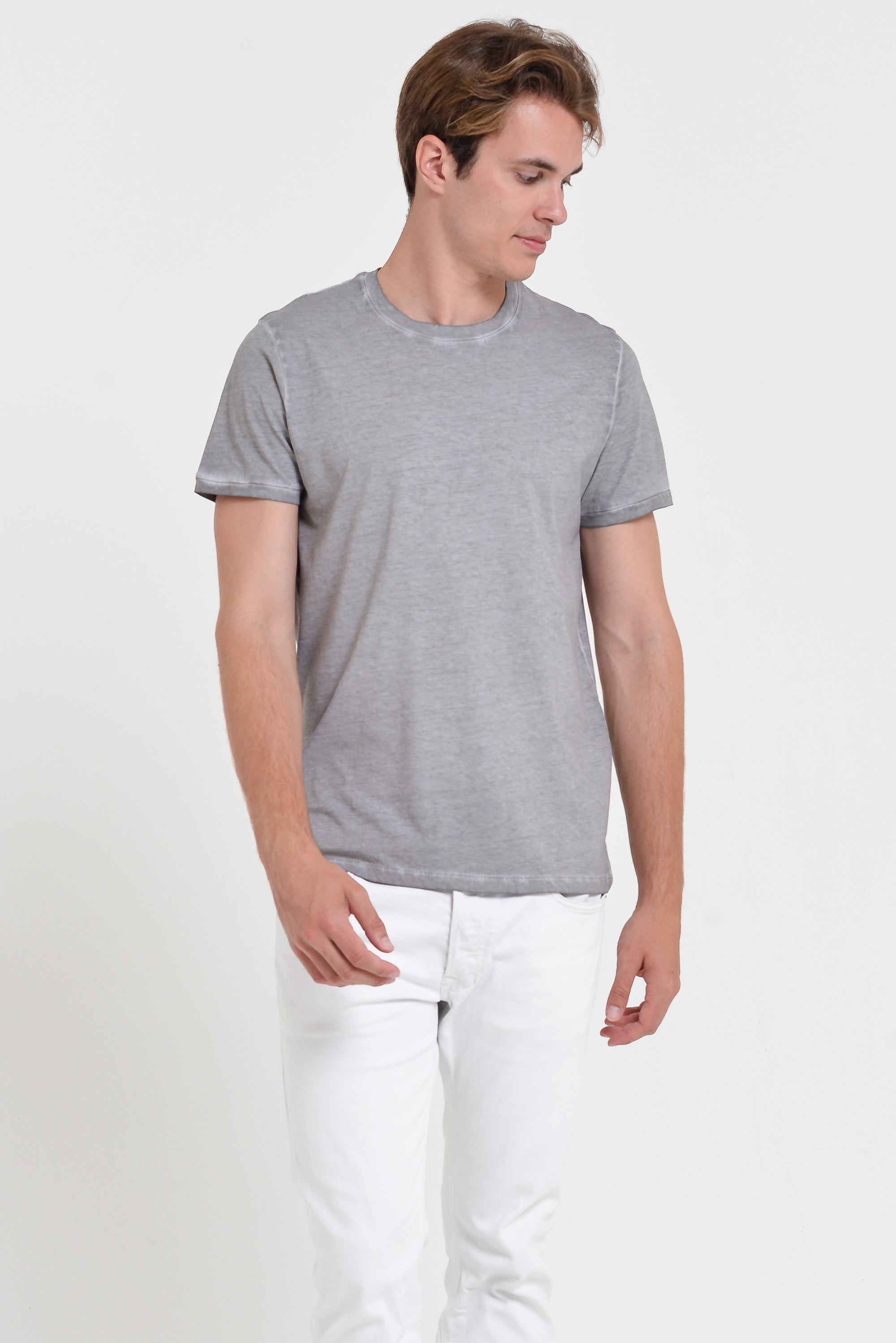 Smart Casual Cotton T-Shirt - Dolphin