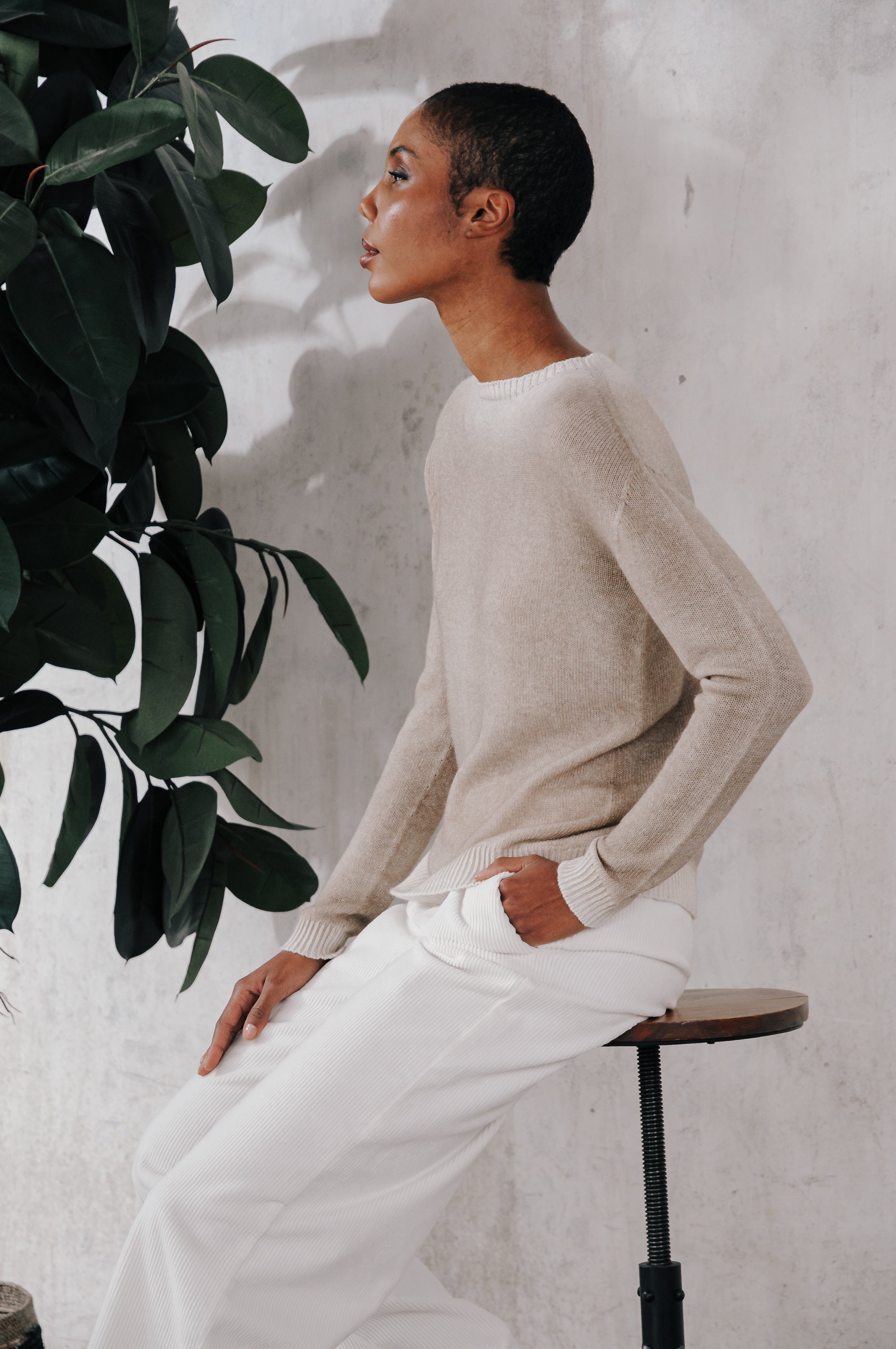 Roslin Spray Art - Cantuccio