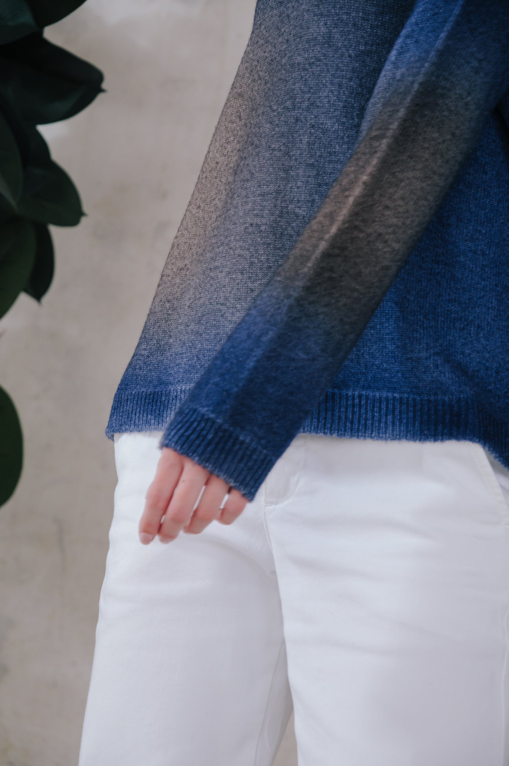 Daisy Tasty Shades - Cassis