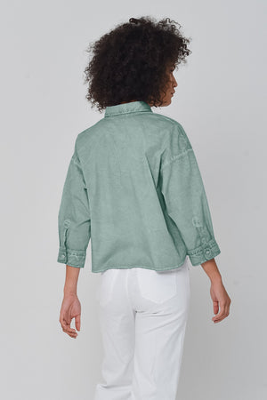 Crop Poplin Shirt Shark - Shirts